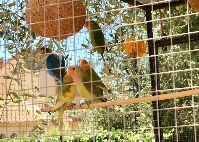 D'hotes L'intemporelle Bed & Breakfast