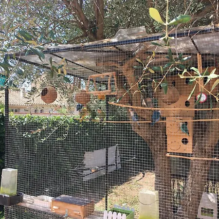 Bed & Breakfast D'hotes L'intemporelle